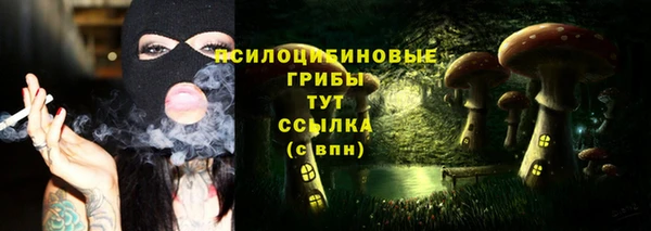 spice Козловка